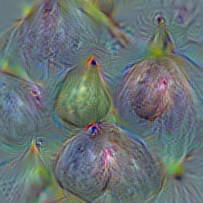 n07753113 fig